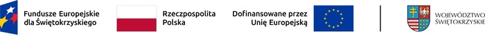 logo ankietaaaa.jpg