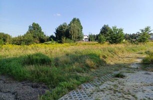 20250807_171409.jpg