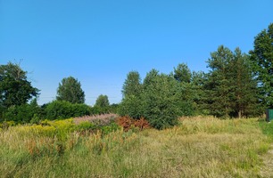 20250807_171449.jpg
