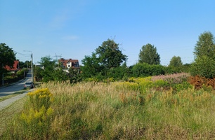 20250807_171452.jpg