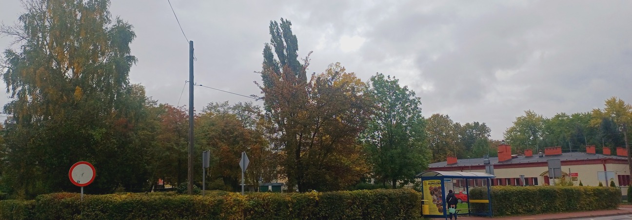 20251010_105744.jpg