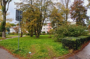 20251010_105521.jpg