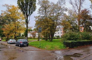 20251010_105530.jpg