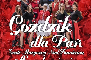 GOŹDZIK DLA PAŃ_1mn.jpg