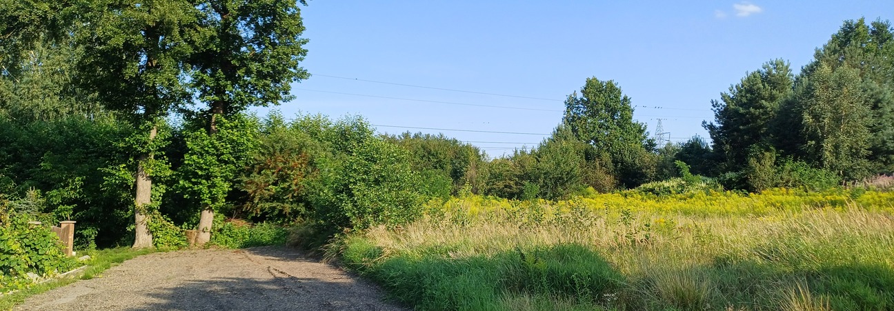 20250807_171415.jpg