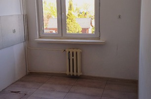 20260430_101125.jpg